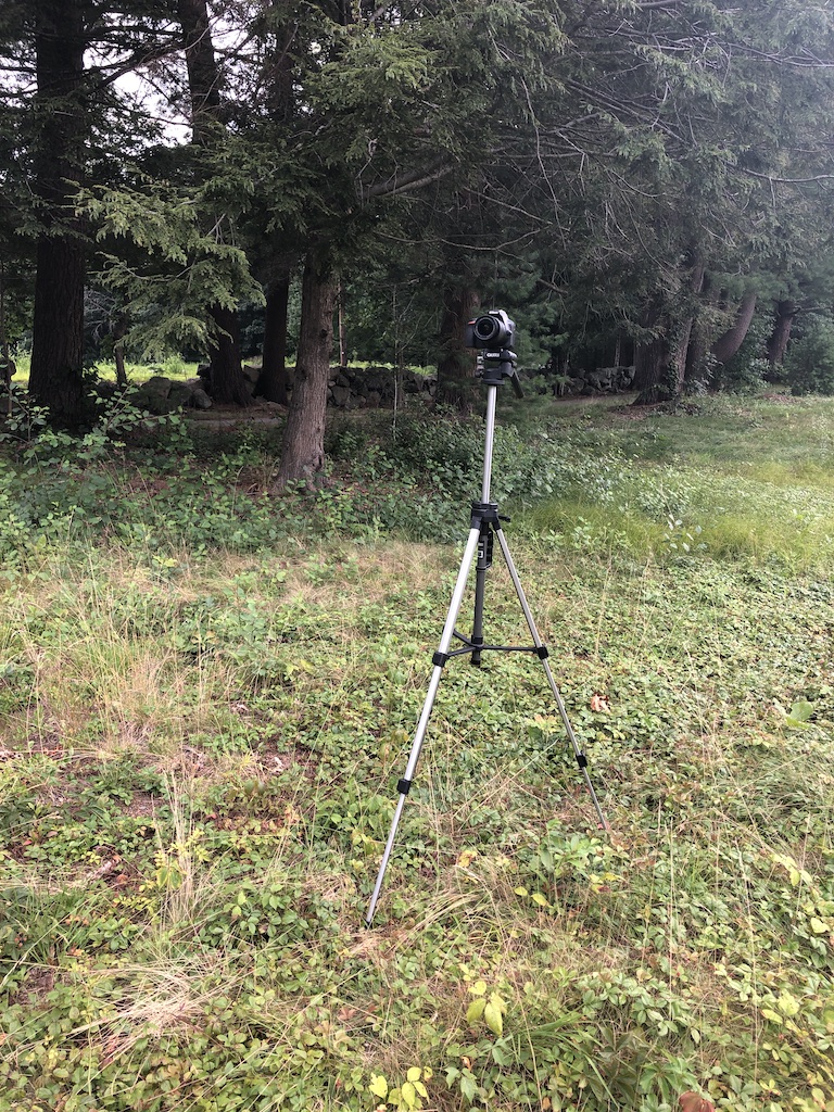 Alex Muzilla's camera on a tripod in an outdoor shoot